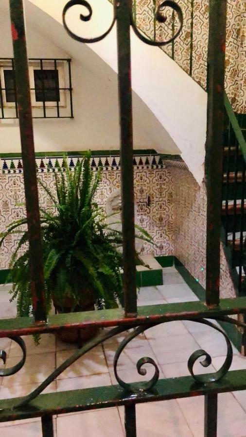 Museo *